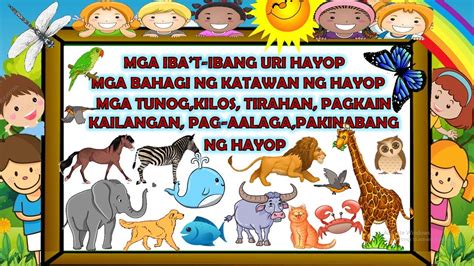 kinantot ang hayop|Hayop .